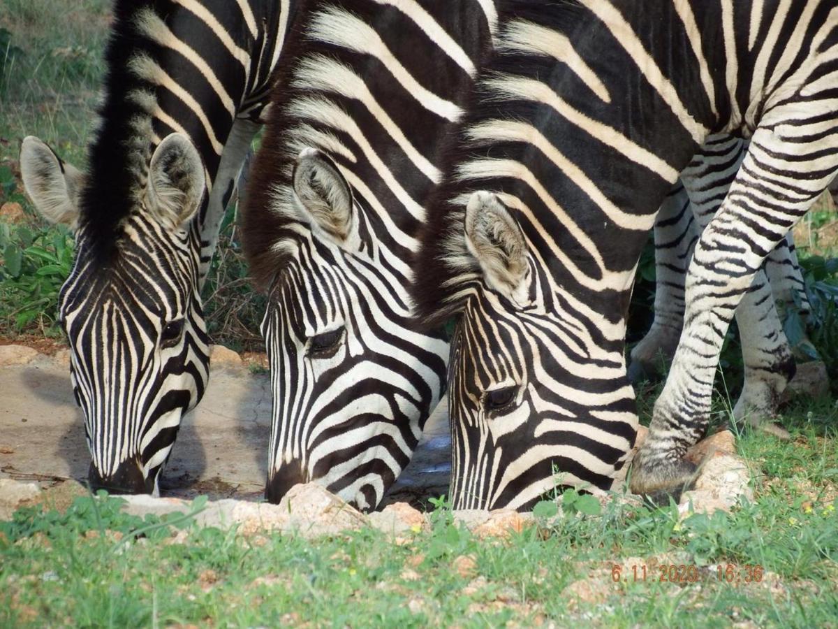 Ku Sungula Safari Lodge Balule Game Reserve Exterior photo