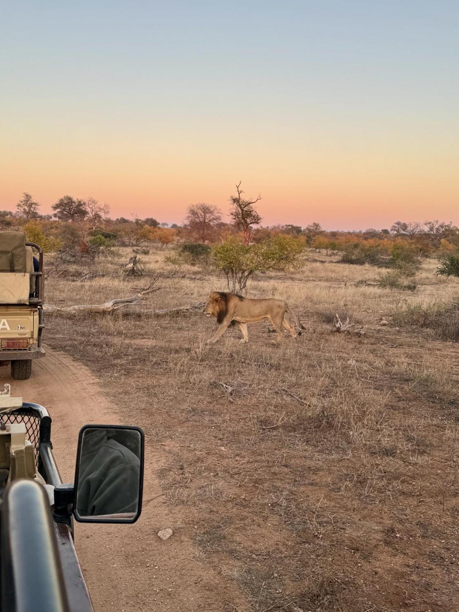 Ku Sungula Safari Lodge Balule Game Reserve Exterior photo