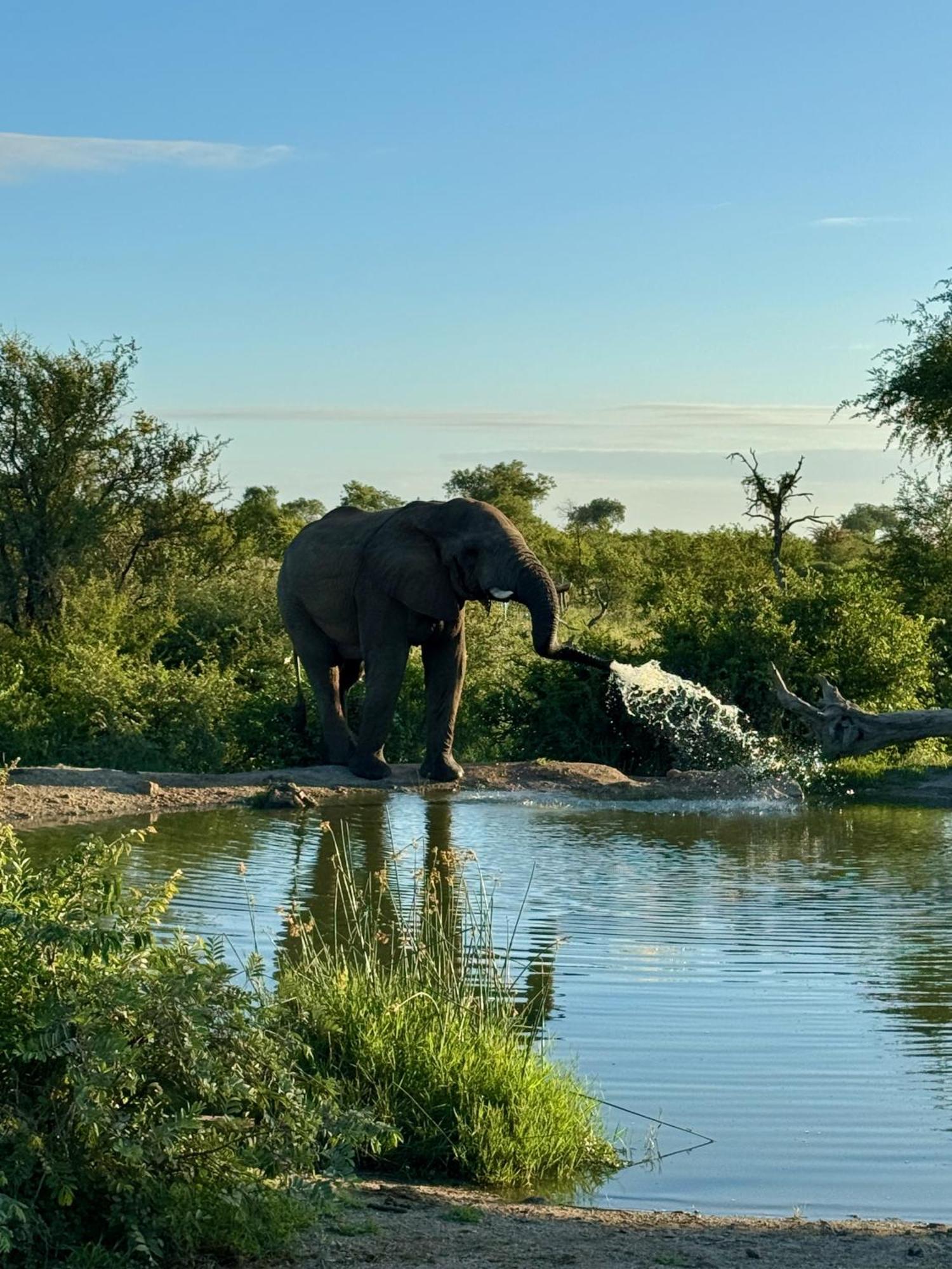 Ku Sungula Safari Lodge Balule Game Reserve Exterior photo