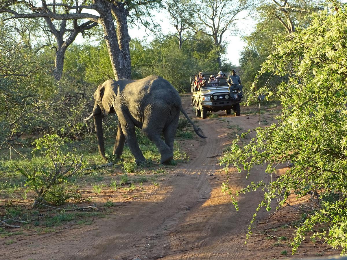 Ku Sungula Safari Lodge Balule Game Reserve Exterior photo